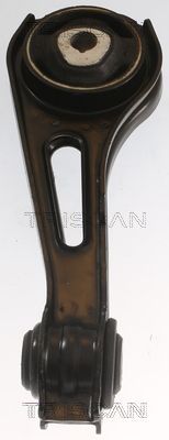 Variklio montavimas TRISCAN 8505 25122