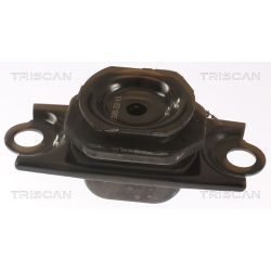 Variklio montavimas TRISCAN 8505 25123