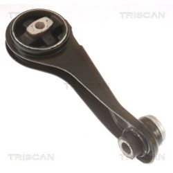 Variklio montavimas TRISCAN 8505 25125