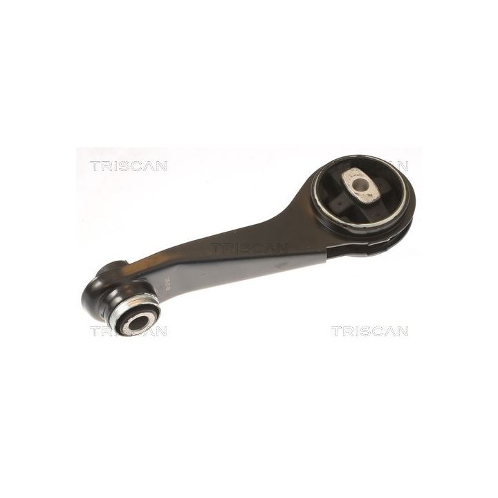 Variklio montavimas TRISCAN 8505 25125