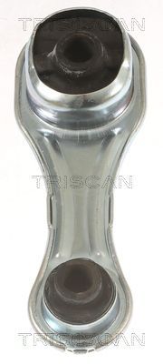 Variklio montavimas TRISCAN 8505 25126