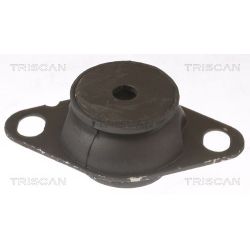 Variklio montavimas TRISCAN 8505 25127