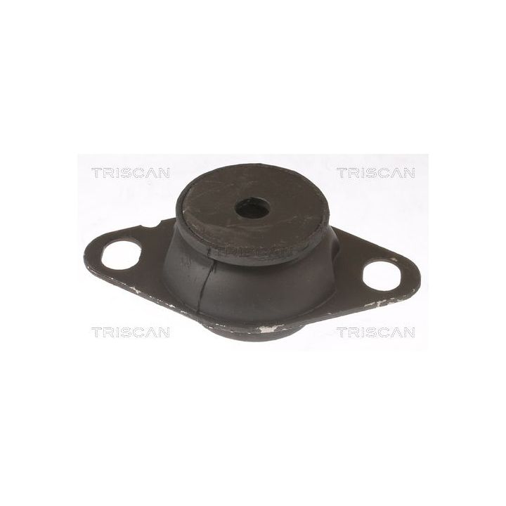 Variklio montavimas TRISCAN 8505 25127