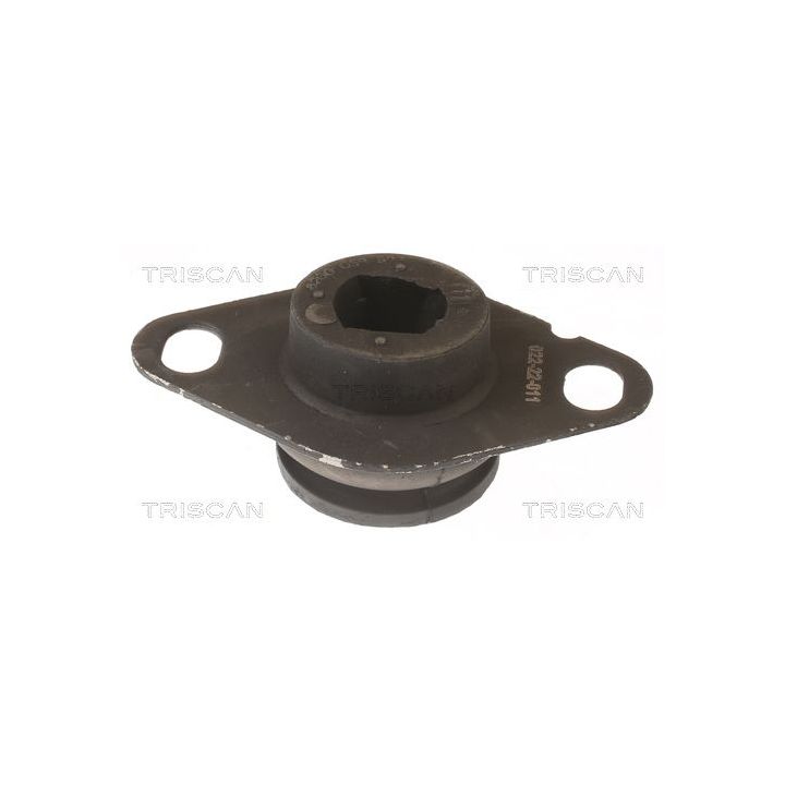 Variklio montavimas TRISCAN 8505 25127