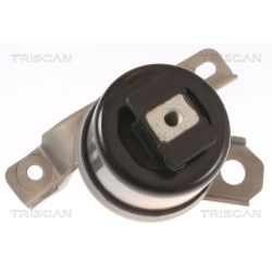 Variklio montavimas TRISCAN 8505 27107