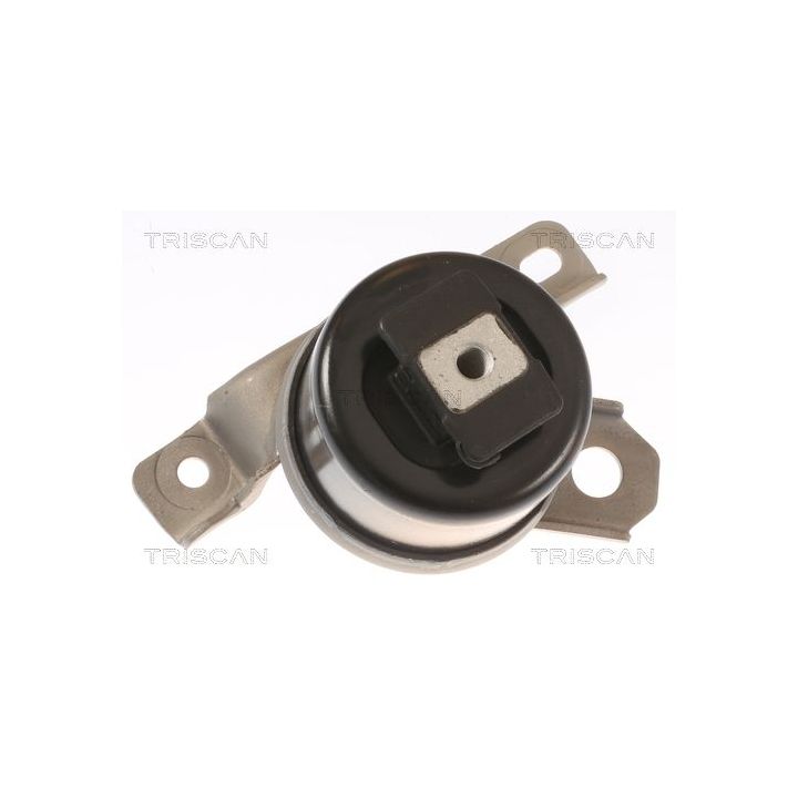 Variklio montavimas TRISCAN 8505 27107
