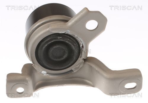 Variklio montavimas TRISCAN 8505 27107