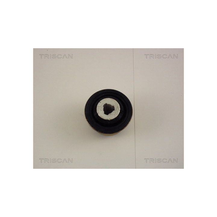 Valdymo svirties/išilginių svirčių įvorė TRISCAN 8500 25806