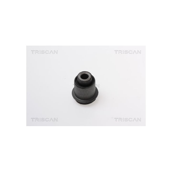 Valdymo svirties/išilginių svirčių įvorė TRISCAN 8500 50831