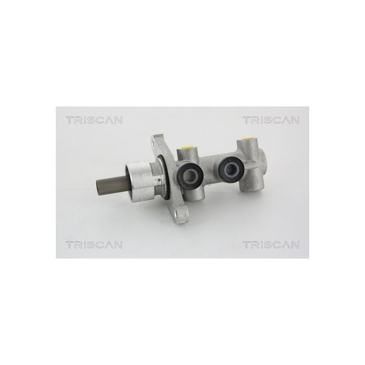Pagrindinis cilindras, stabdžiai TRISCAN 8130 18100