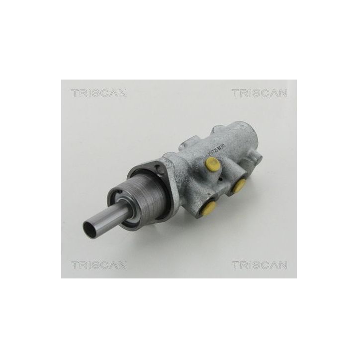 Pagrindinis cilindras, stabdžiai TRISCAN 8130 28132