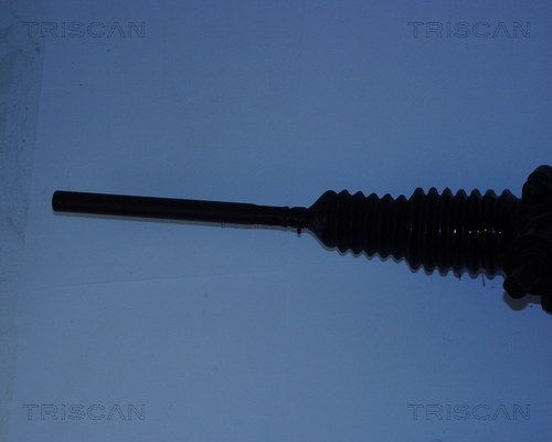 Vairo pavara TRISCAN 8510 25405