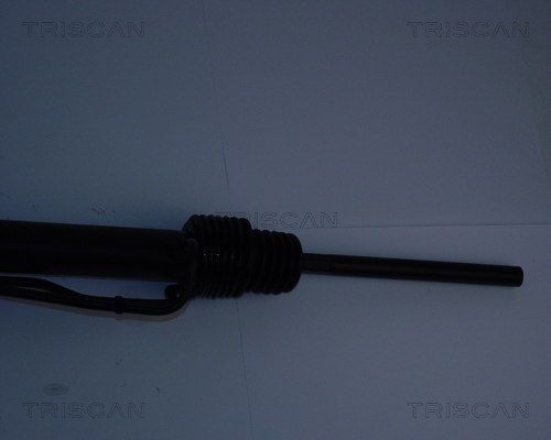 Vairo pavara TRISCAN 8510 25405