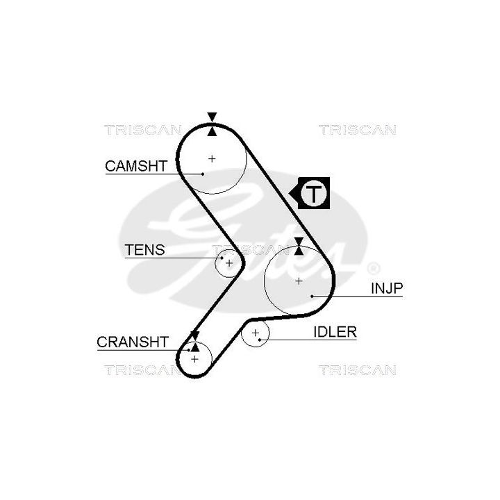 Paskirstymo diržas TRISCAN 8645 5281