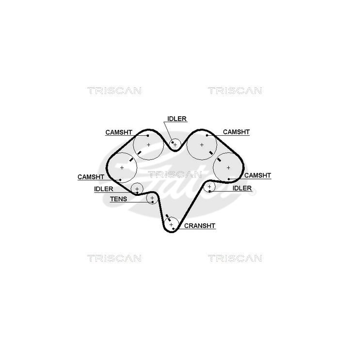 Paskirstymo diržas TRISCAN 8645 5475