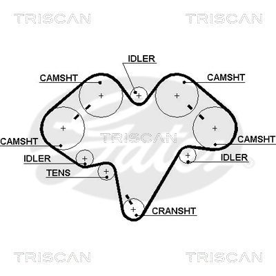 Paskirstymo diržas TRISCAN 8645 5475