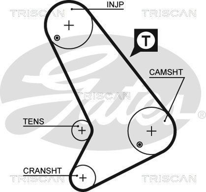 Paskirstymo diržo komplektas TRISCAN 8647 16019