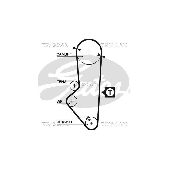 Paskirstymo diržo komplektas TRISCAN 8647 17006