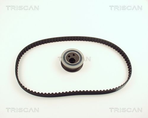Paskirstymo diržo komplektas TRISCAN 8647 25006