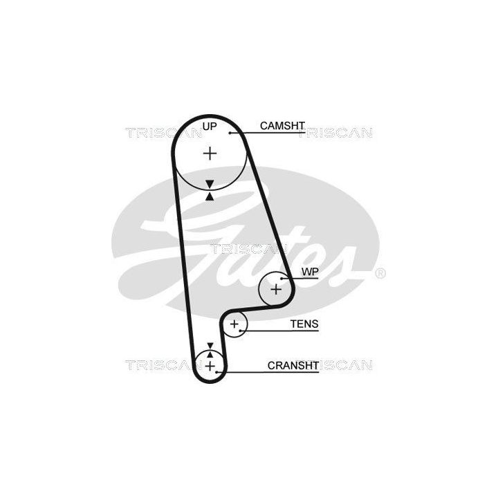 Paskirstymo diržo komplektas TRISCAN 8647 40002