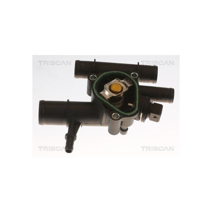 Termostatas, aušinimo skystis TRISCAN 8620 17889