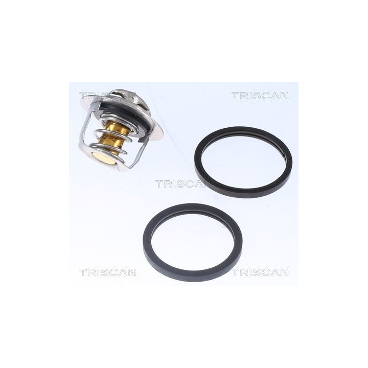 Termostatas, aušinimo skystis TRISCAN 8620 18782