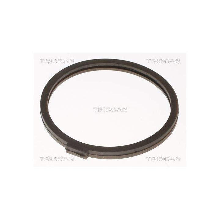 Termostatas, aušinimo skystis TRISCAN 8620 1882