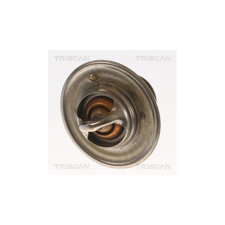 Termostatas, aušinimo skystis TRISCAN 8620 2082