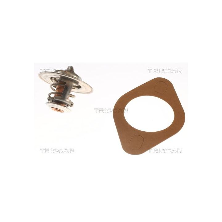 Termostatas, aušinimo skystis TRISCAN 8620 2088