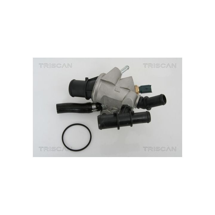 Termostatas, aušinimo skystis TRISCAN 8620 21288