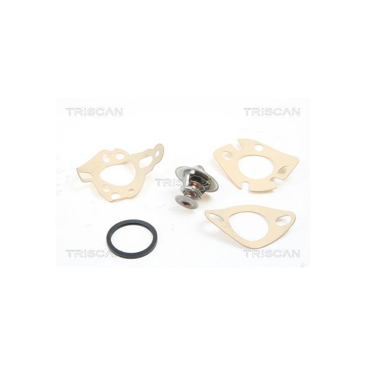 Termostatas, aušinimo skystis TRISCAN 8620 2182