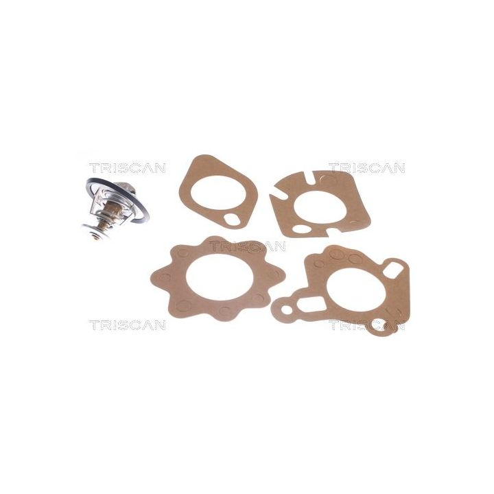 Termostatas, aušinimo skystis TRISCAN 8620 2188