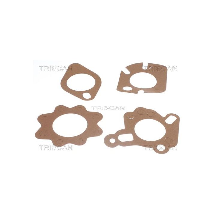 Termostatas, aušinimo skystis TRISCAN 8620 2188