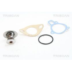 Termostatas, aušinimo skystis TRISCAN 8620 2382