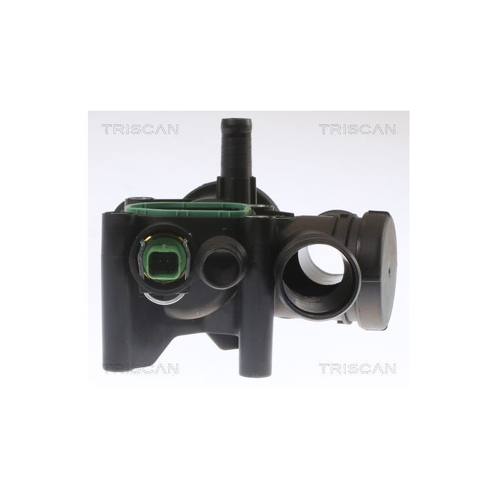 Termostatas, aušinimo skystis TRISCAN 8620 25784