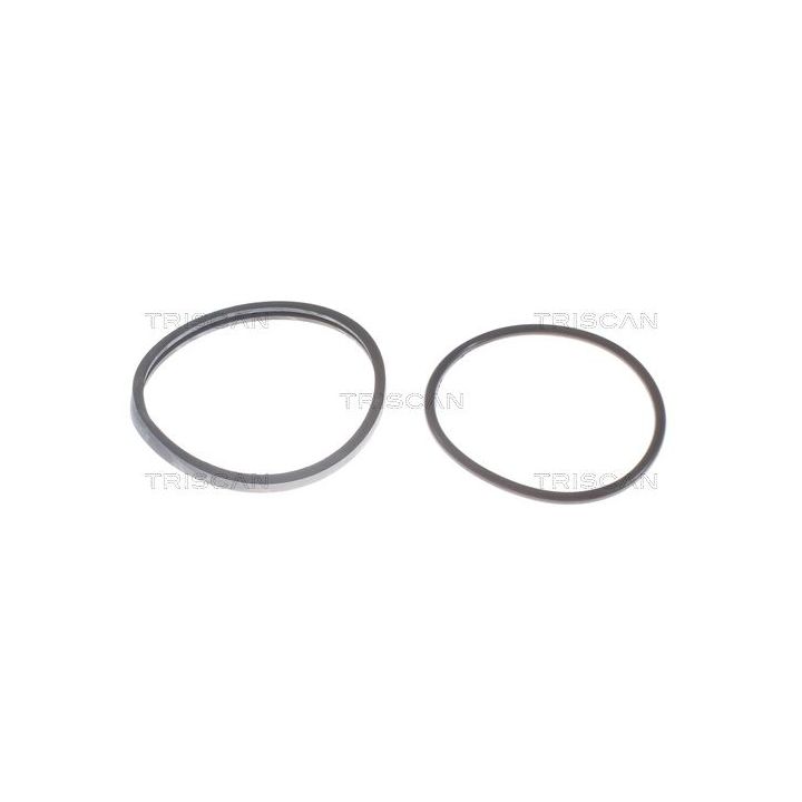 Termostatas, aušinimo skystis TRISCAN 8620 2682