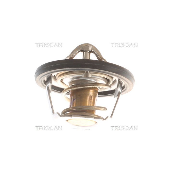 Termostatas, aušinimo skystis TRISCAN 8620 2782