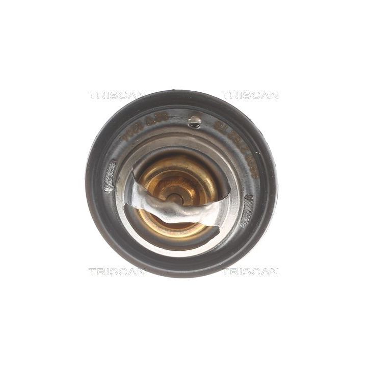 Termostatas, aušinimo skystis TRISCAN 8620 2782
