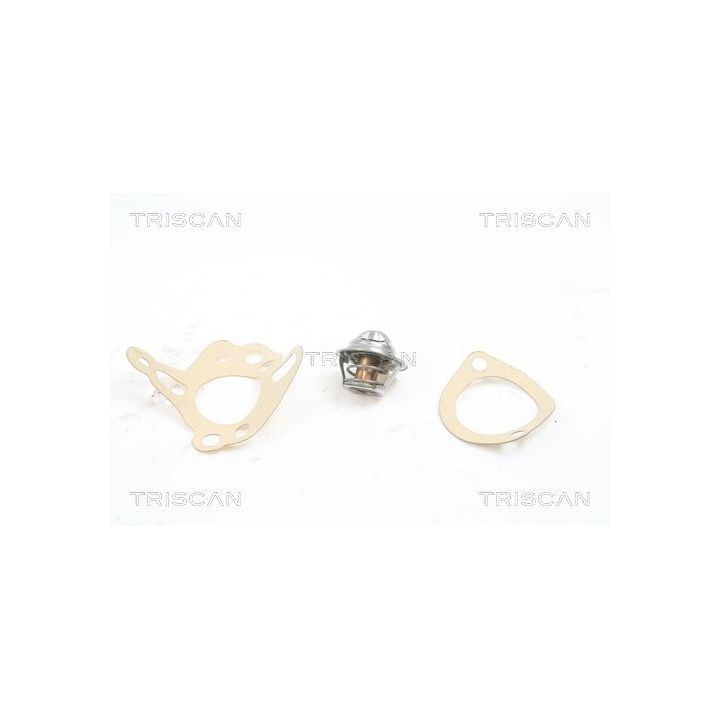 Termostatas, aušinimo skystis TRISCAN 8620 2788