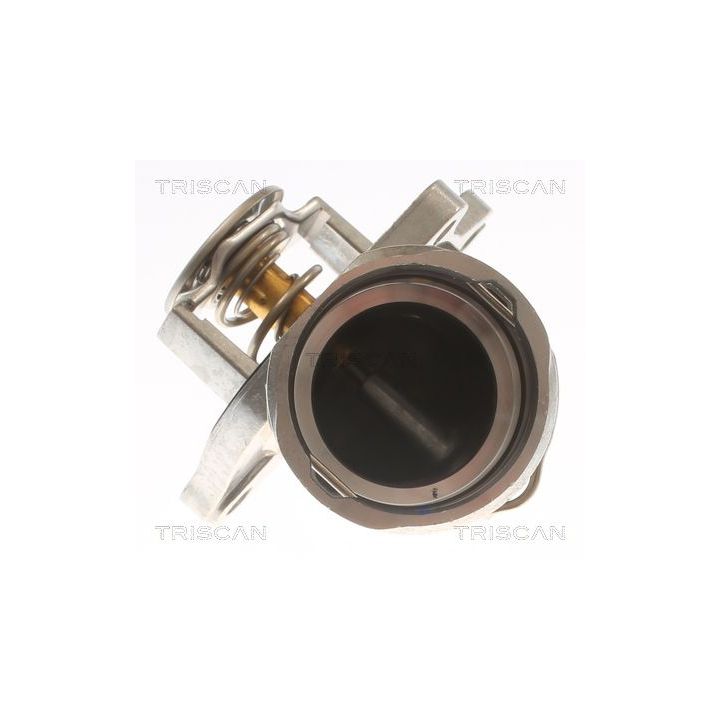 Termostatas, aušinimo skystis TRISCAN 8620 28887