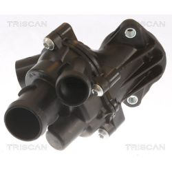 Termostatas, aušinimo skystis TRISCAN 8620 29101