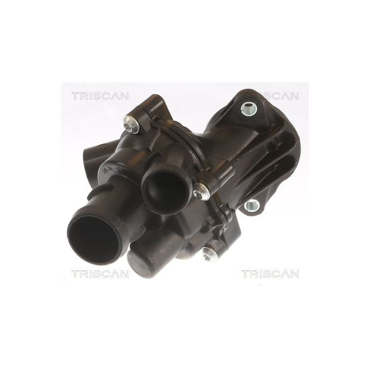 Termostatas, aušinimo skystis TRISCAN 8620 29101