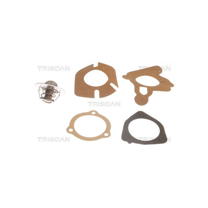 Termostatas, aušinimo skystis TRISCAN 8620 2982