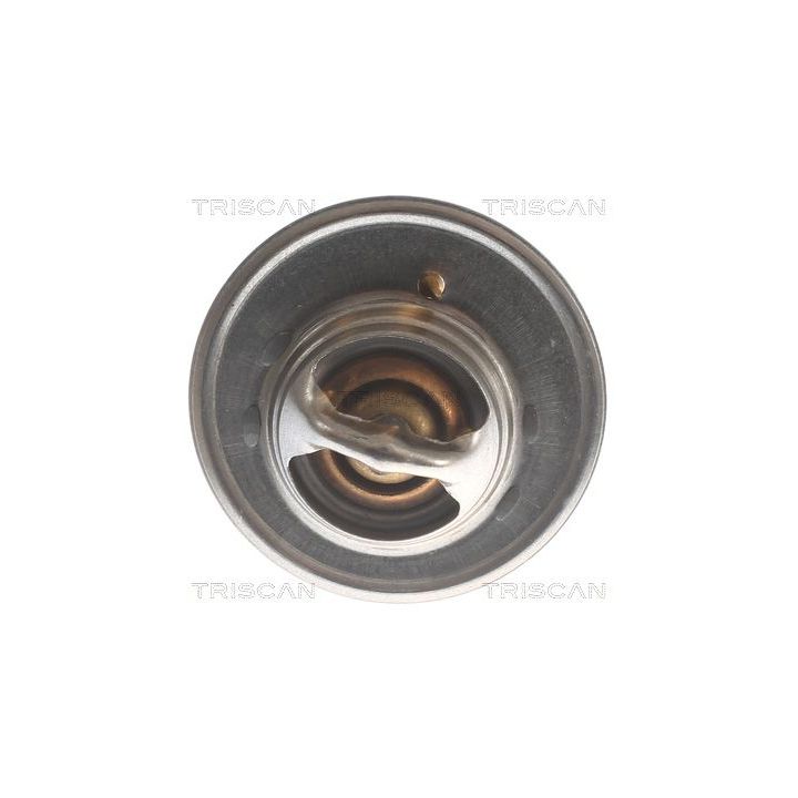 Termostatas, aušinimo skystis TRISCAN 8620 2982