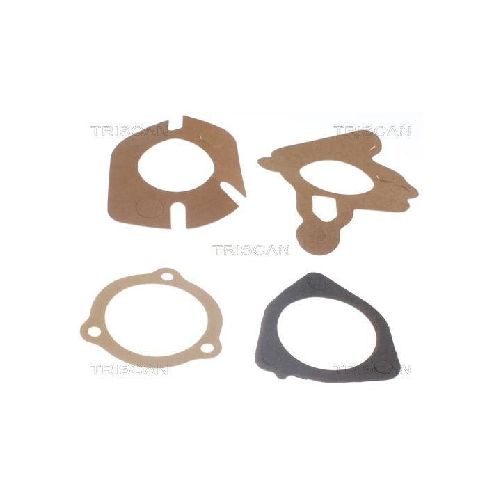 Termostatas, aušinimo skystis TRISCAN 8620 2982