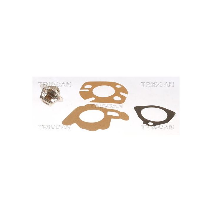 Termostatas, aušinimo skystis TRISCAN 8620 2988
