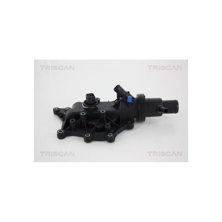 Termostatas, aušinimo skystis TRISCAN 8620 30489