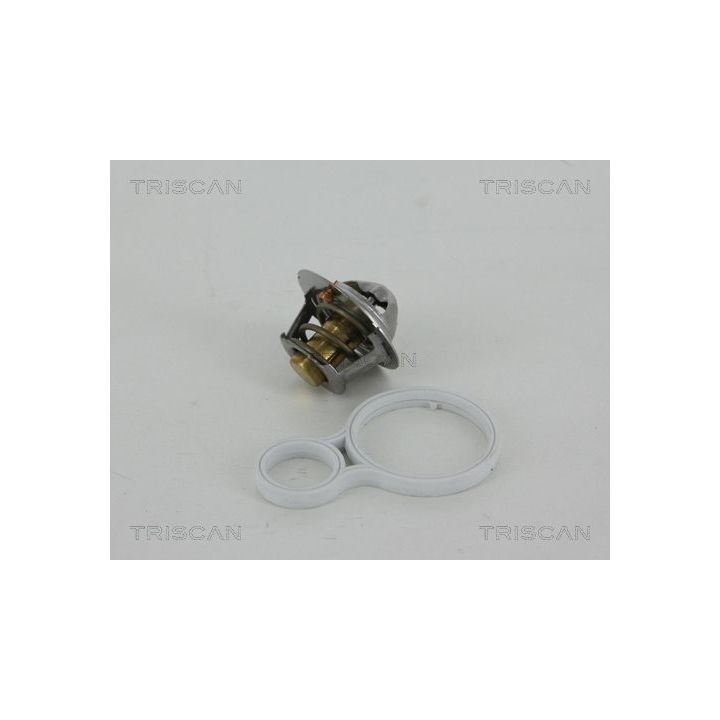 Termostatas, aušinimo skystis TRISCAN 8620 32391