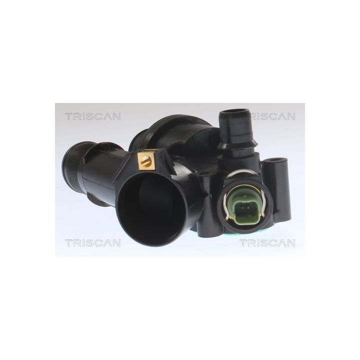Termostatas, aušinimo skystis TRISCAN 8620 36883