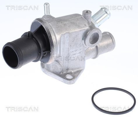 Termostatas, aušinimo skystis TRISCAN 8620 41688